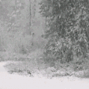 abm_