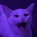 opurp