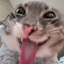 witeoutishere