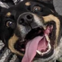 Avatar of crackerjackmack