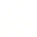 parcision