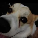 Аватар radik9249