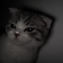 mind_in_motion.#0 avatar