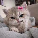 donetta_duren1