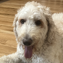 Jovenly 'training for job' Cosmo's avatar