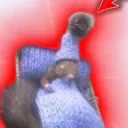 hamboa