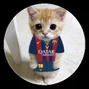 enrique089831 avatar