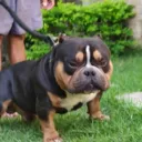 Аватар gleb069101