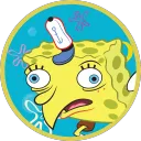 sponge00001
