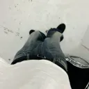 w2fl