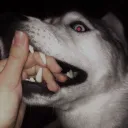 65786548674846