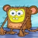 avatar Vicente Hernández Castillo