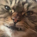 avatar ℰ𝓈𝓈𝒾ℯ𓂀