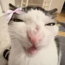wixyy28