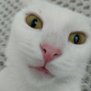 avatar ERPOVA İŞ BAŞINDAA