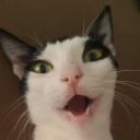 avatar ERPOVA İŞ BAŞINDAA