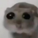 avatar ERPOVA İŞ BAŞINDAA