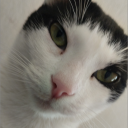 avatar ERPOVA İŞ BAŞINDAA