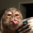 avatar ώαlṉïęτα ṃłøτќïεṃ