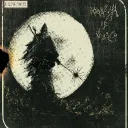 imu.1