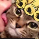 _incg