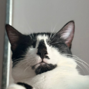 avatar Villanelle♡