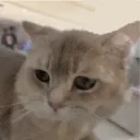 this_is_not_matt
