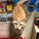 avatar Yourtruepotential