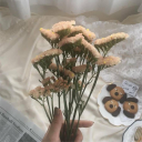 1595991886632's Avatar