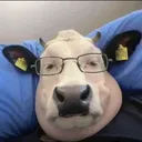 rsktn
