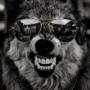 wolfofsin