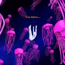 avatar 𝓢𝓹𝓪𝓷𝓴𝔂