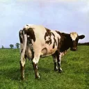 atomheartmother__