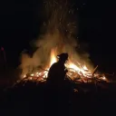 kfdmitch
