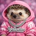 Profilbild för Igelkotten23
