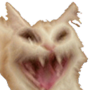 The cat bot