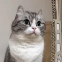 Аватар victor13cc