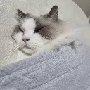 sunday_.like