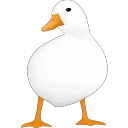 244195