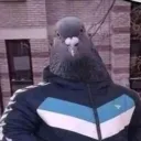 elcaritawoow