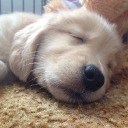 avatar Subjunctive Mood