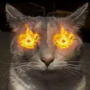okvertigo