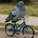 avatar o doktor sigeon