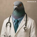 avatar Doctor pigeon