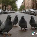 avatar o doktor sigeon