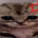 emirfunacc