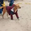 7rw8
