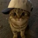 szymek01