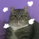 mo_rp