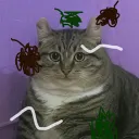 mo_rp